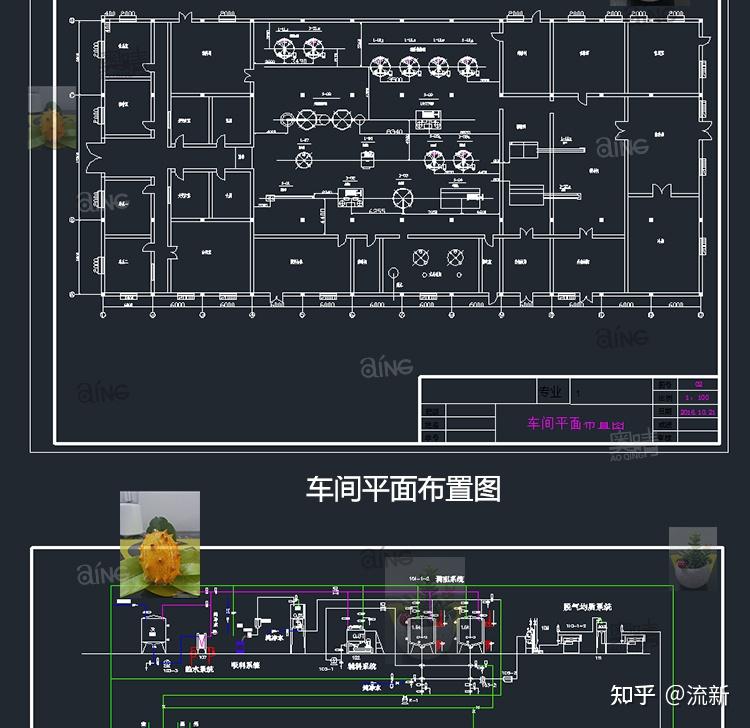 食品工厂毕业设计指南 从香肠到橙汁饮料的全流程解析